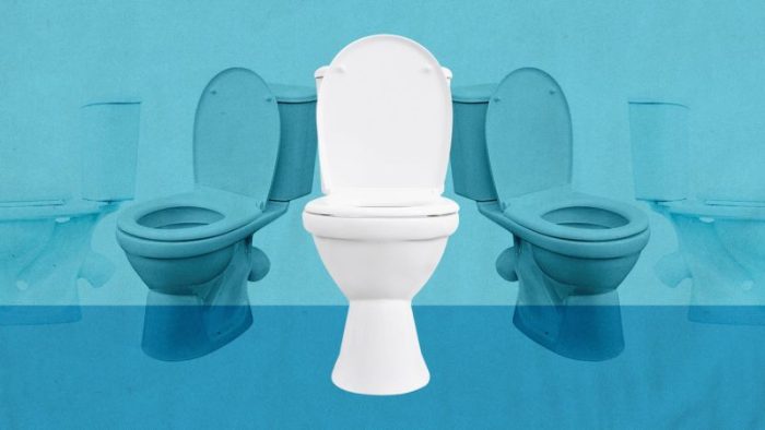 The Surprising Reason More and More People Are Using the Toilet Facing Forward