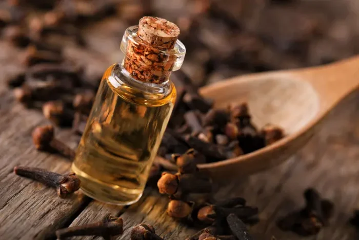 The Health Benefits of Cloves and Simple Ways to Use Them at Home